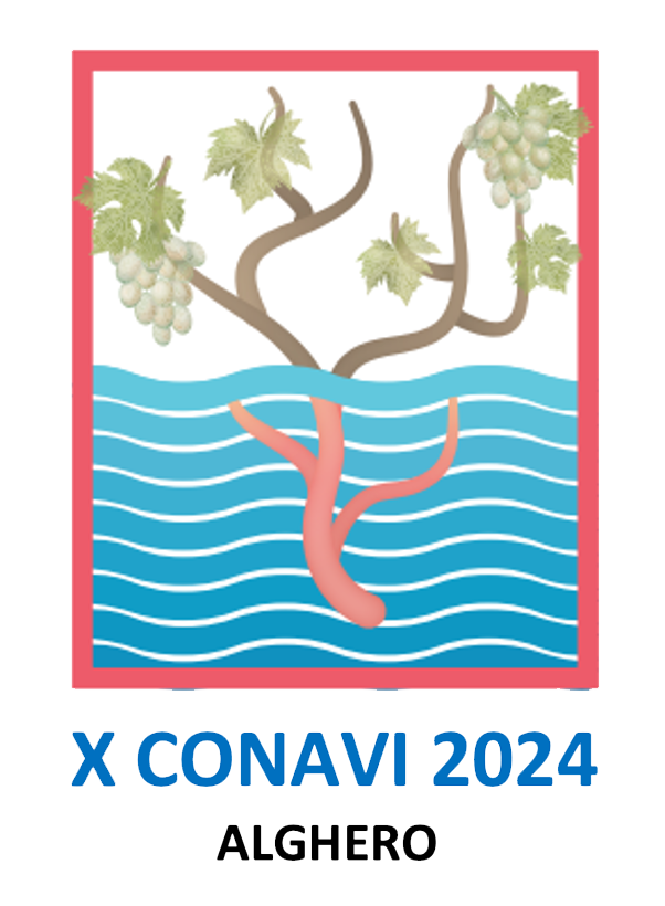 Logo Conavi 2024