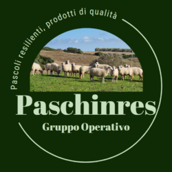 cropped logo gruppo operativo 3